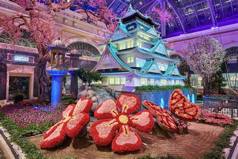 Bellagio conservatory webcam Enjoy viewing a number of live streaming preset webcam views overlooking and around Londons Trafalgar Square